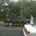 Guyana Defense Force (GDF) Troops