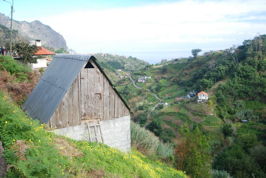 Farming in Madeira