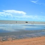 Shell Beach, Guyana