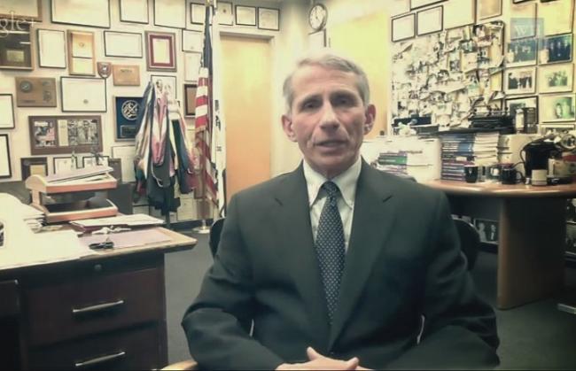 Dr. Anthony Fauci, Director, National Institute of Allergy & Infectious Diseases