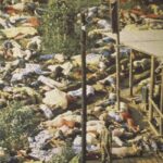 Jonestown bodies
